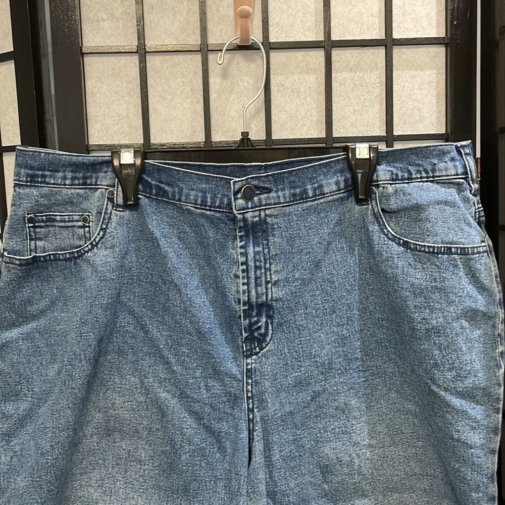 Vintage Dg2 by Diane Gilman Blue Jean Shorts, 18W - Picture 3 of 6